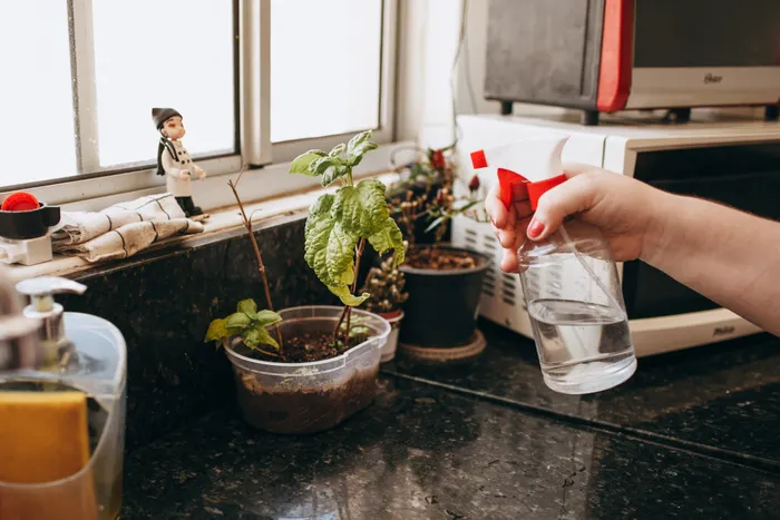Improving Consistency With Indoor Herb Growing